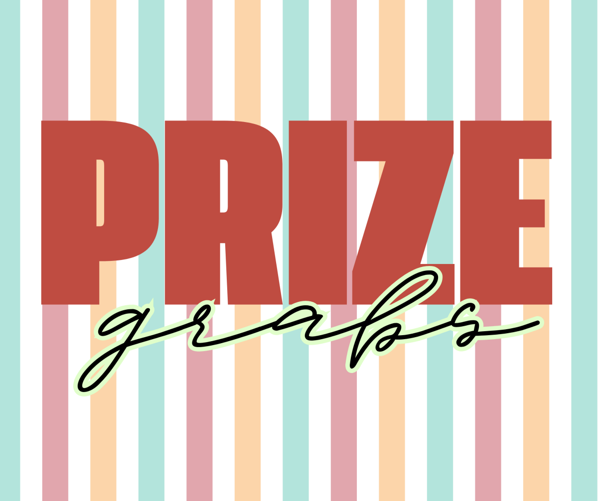 $28 Large PRIZE Grab - Purses & Pearls