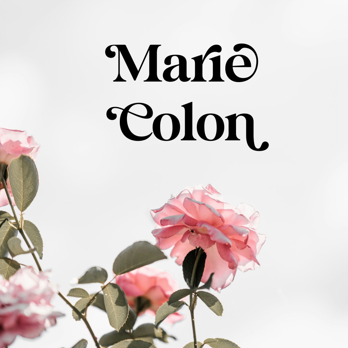 Marie Colon - Purses & Pearls