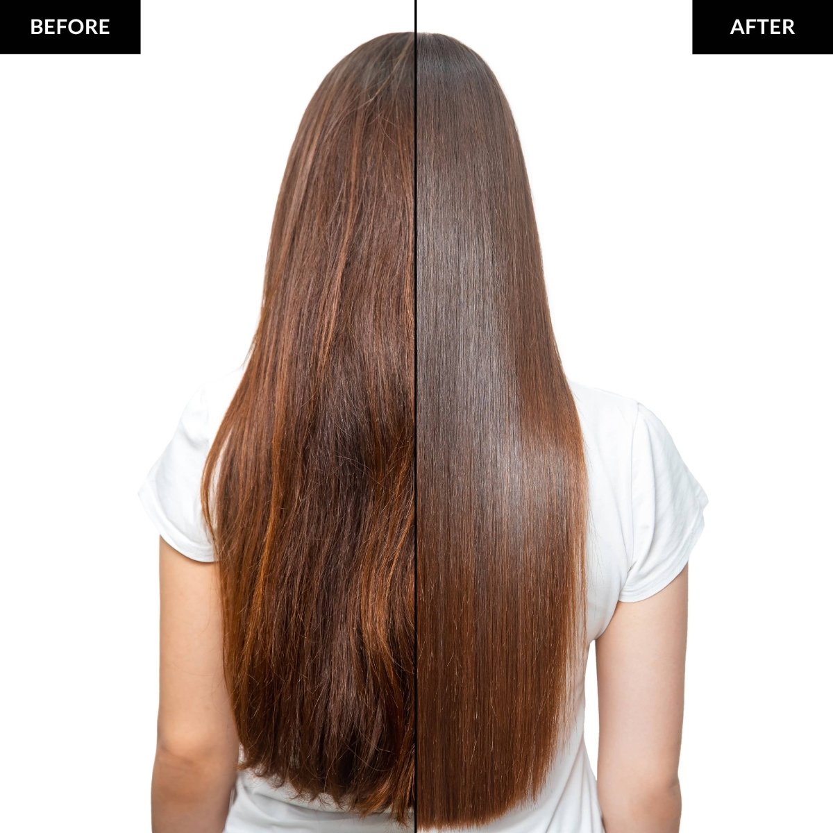 Foxybae Hair - Sunlit Silk Instant Shine Mask - Purses & Pearls