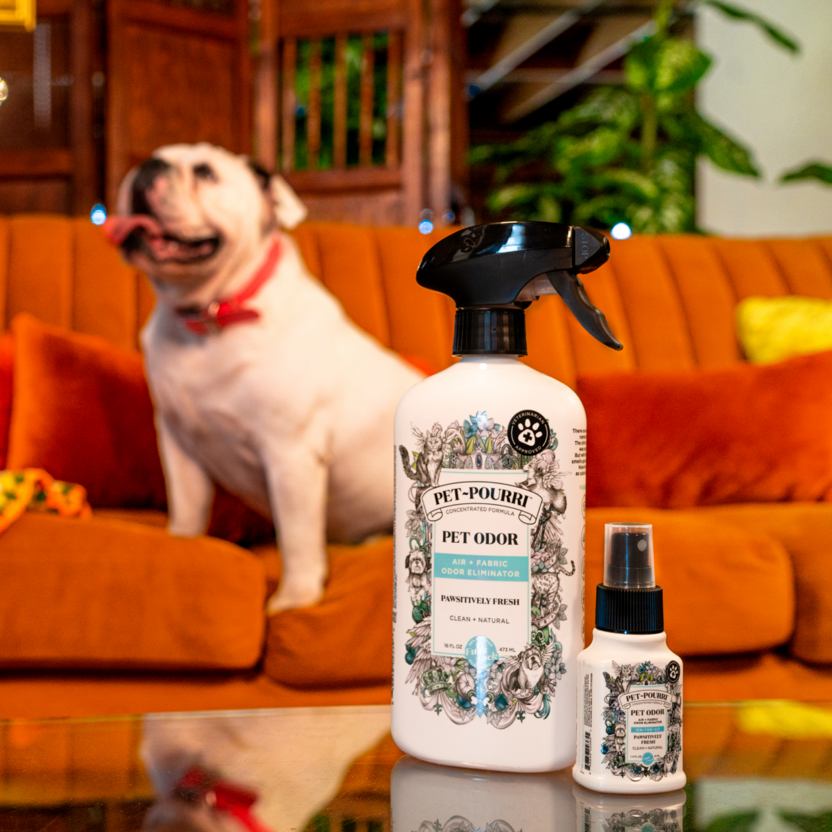 Pet~Pourri Pawsitively Fresh Air+Fabric Odor Refresher 16oz - Purses & Pearls
