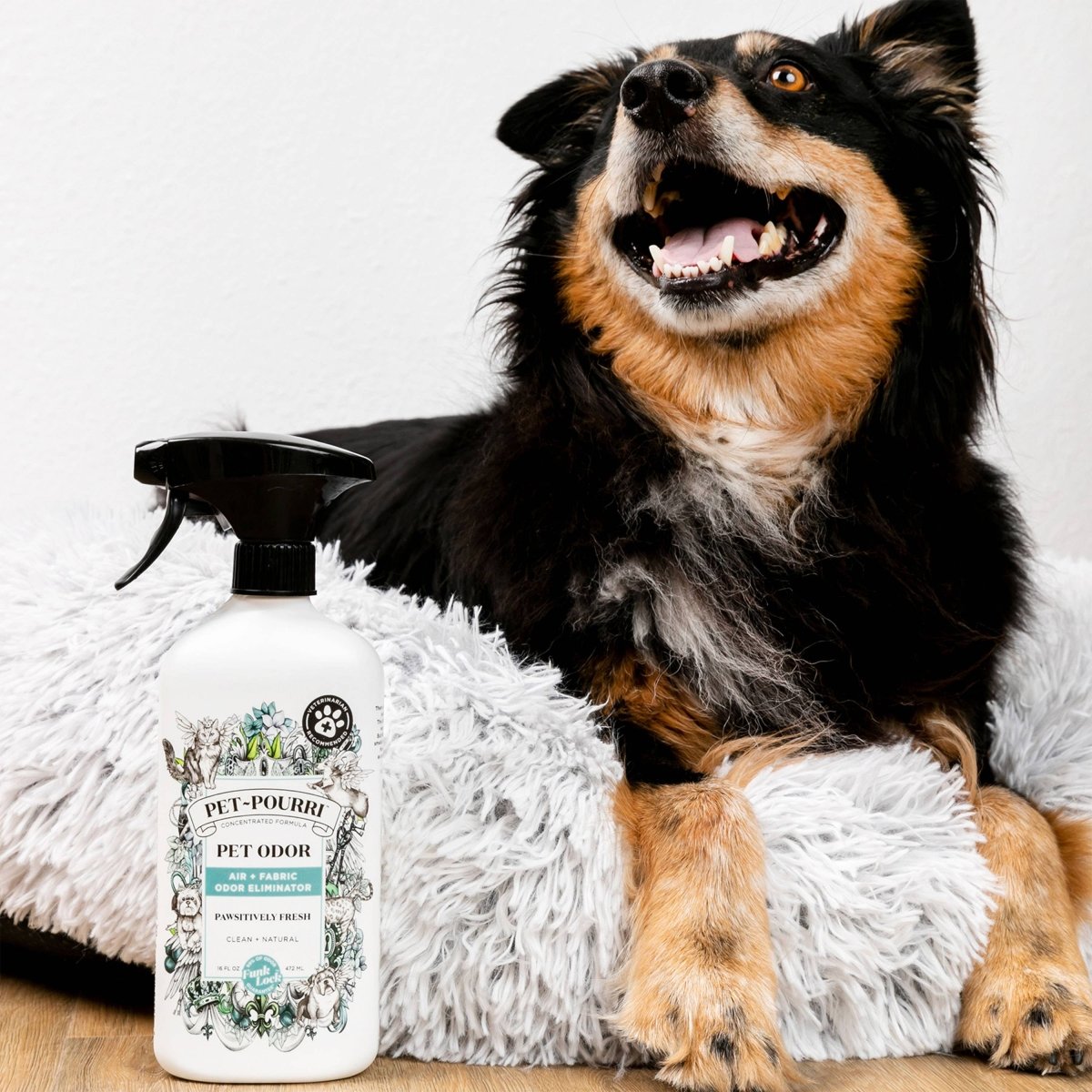 Pet~Pourri Pawsitively Fresh Air+Fabric Odor Refresher 16oz - Purses & Pearls