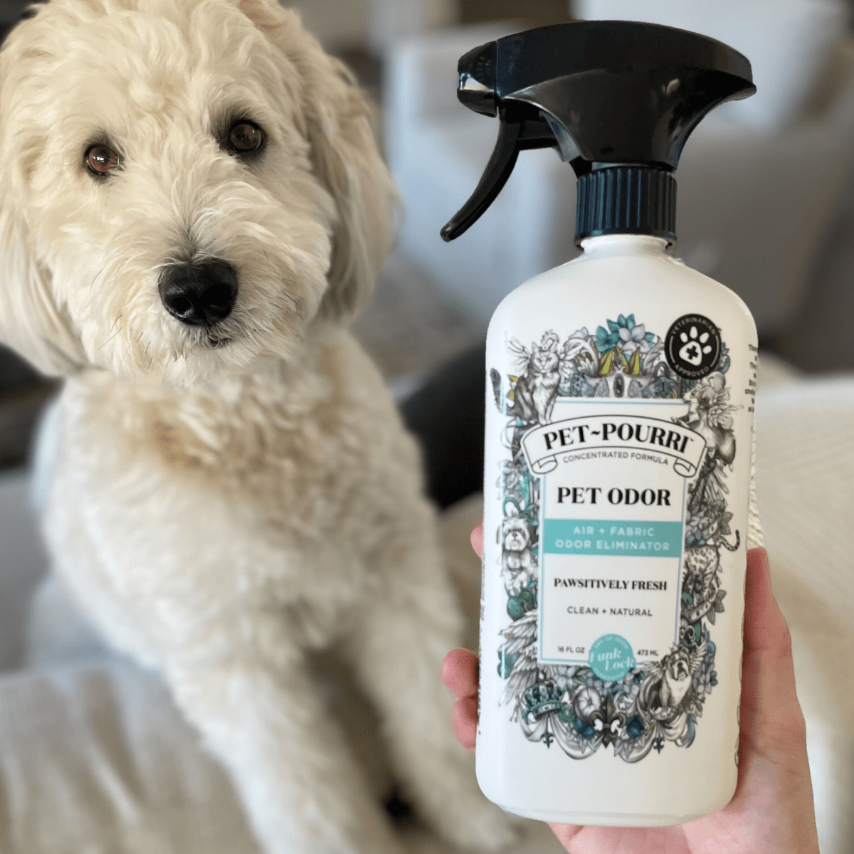 Pet~Pourri Pawsitively Fresh Air+Fabric Odor Refresher 16oz - Purses & Pearls